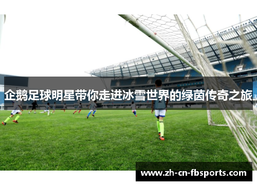 企鹅足球明星带你走进冰雪世界的绿茵传奇之旅